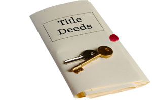 No income verification loan